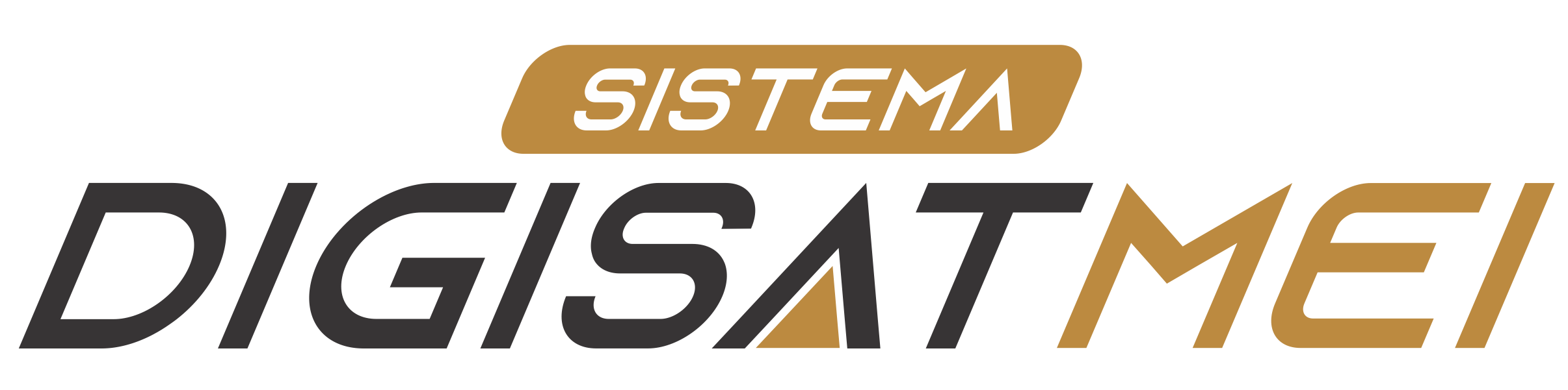 DigiSat MEI