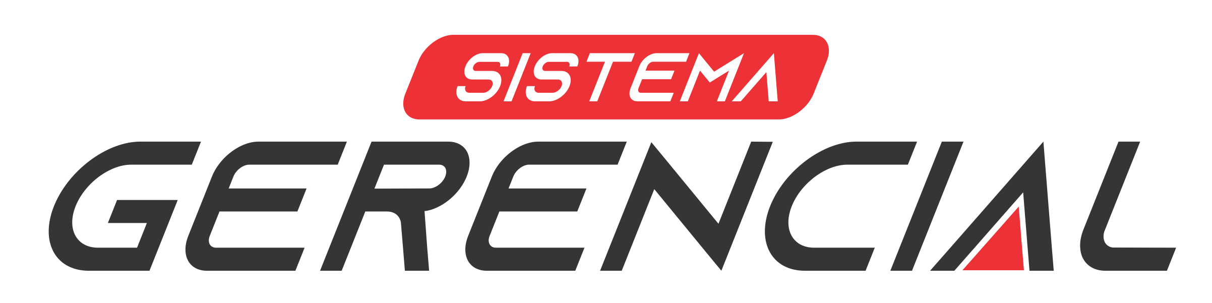 DigiSat Gerencial