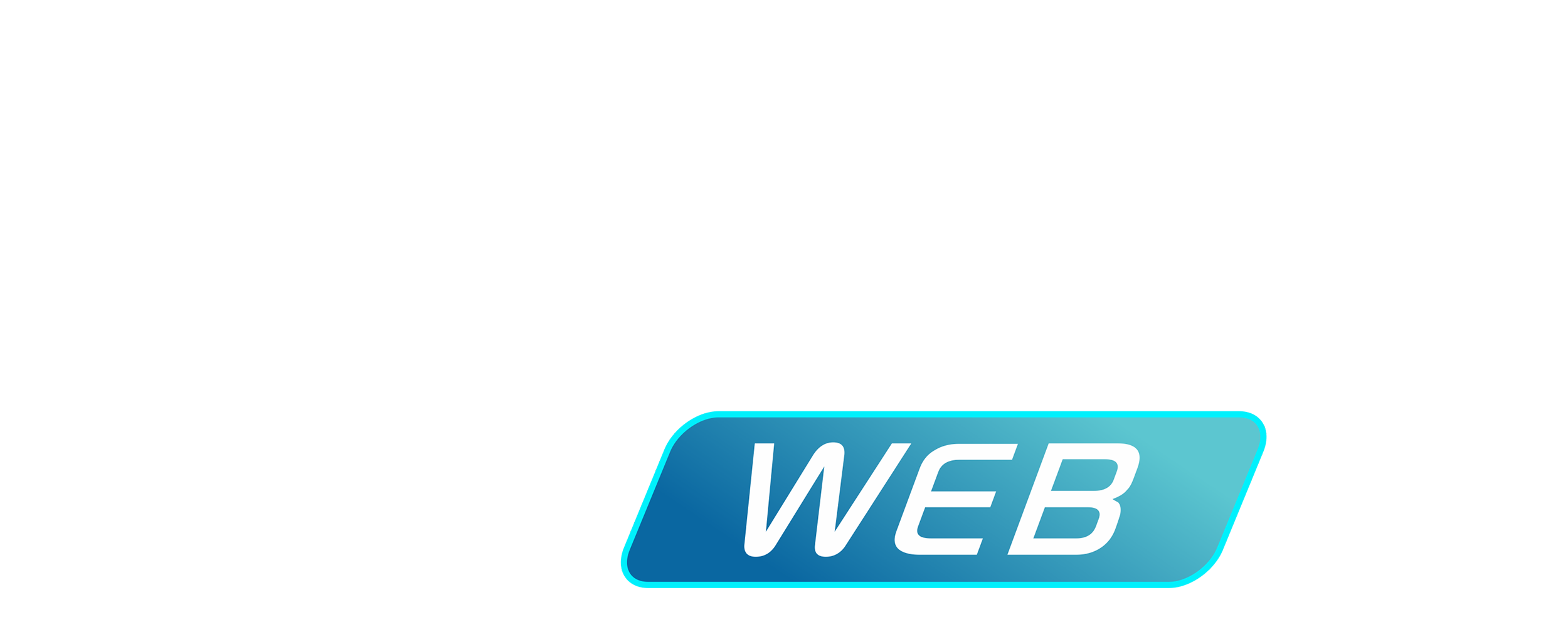 DigiSat WEB